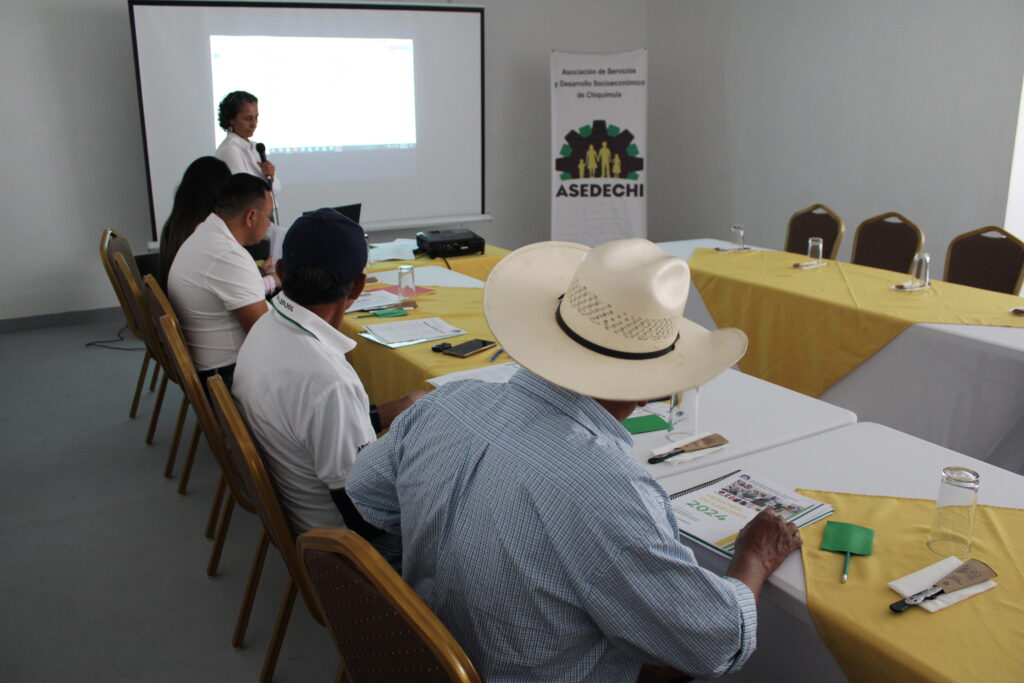 ASEDECHI CONTRATARÁ CONSULTORÍA