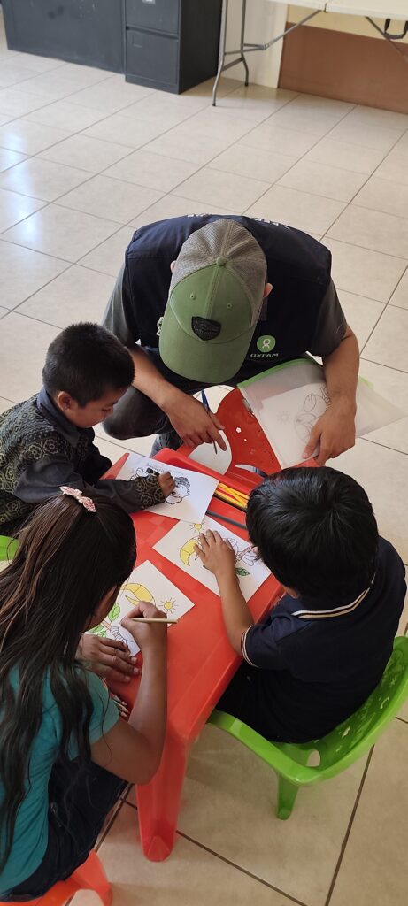 Experincia  en proyectos de atención INSAN severa